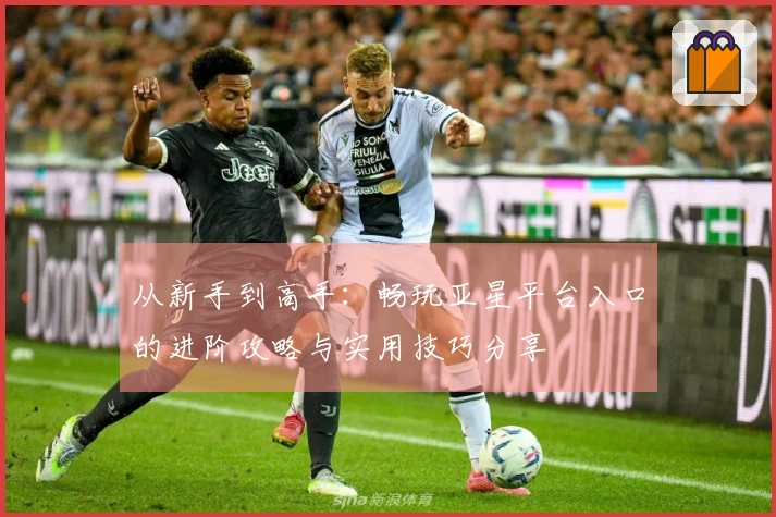 从新手到高手：畅玩亚星平台入口的进阶攻略与实用技巧分享